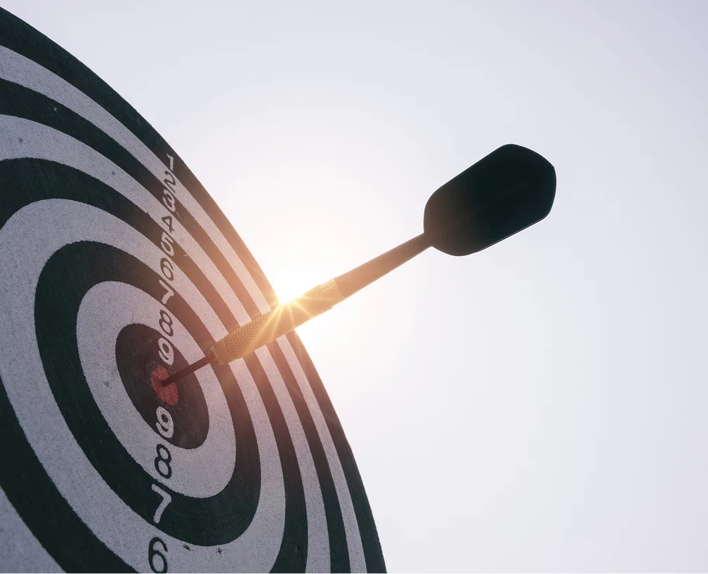 the arrow hit the target